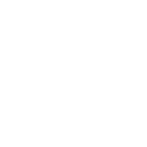 BlackStrike